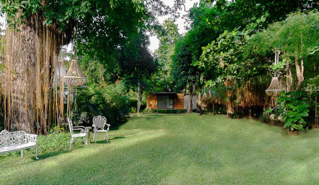 Suite Garden